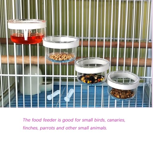 8 Pcs Small Bird Removable Transparent Bowl, Parrot Food Feeder with 8 Pcs Small Food Cups for Canary Finch Parrot Small Animal, White + Clear