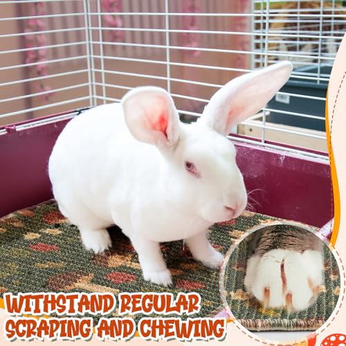 Drydiet 16 x 12 Inch 2 Pcs Rabbit Scratch Mat Natural Bunny Scratching Pad Claws and Teeth Care Rabbit Mats for Cages Chew Toys Bunny Pet Cage Bedding for Biting Sleeping Nesting