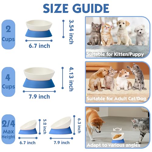 French Bulldog Food Bowl- Slanted Tilted Pug Food Water Bowl,Cat Bowl- Feeder for Frenchie/Shih Tzu/Flat Faced Small Dogs/Puppies/Cats (Blue, 2 Cup) - color: Blue, size: 2 Cup