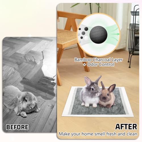 Tfwadmx 50 Pcs Rabbit Pee Pads Guinea Pig Super Absorbent Cage Liners Bunny Disposable Black Carbon Diapers Small Animal Training Accessories with Quick-Dry Surface for Chinchilla Ferret Hamster - size: 50 Pcs-17.72" x 23.62" (Gray)