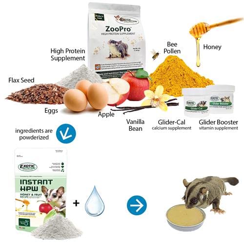 Exotic Nutrition Sugar Glider Complete Food Starter Package - Nutritionally Complete Pellet Diet & High Protein Supplemental Food for Sugar Gliders… (2 Piece Set) - size: 2-Piece Set