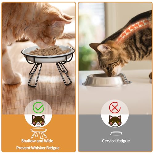Presents The Ultimate Cat Dining Set: 5.9 inch Ceramic Water Bowl and Whisker-Friendly and Anti-Vomiting Plates.Elevated Bowl, Raised Ceramic Dish with Metal Stand - color: Food Bowl+Water Bowl