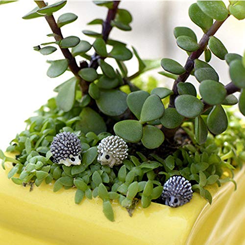 X Hot Popcorn 30 Pcs Mini Hedgehog Figurines, Small Resin Hedgehogs | Tiny Resin Animals, Miniature Figurines, Miniature Moss Landscape, DIY Garden Decor