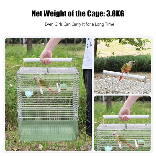 304 Stainless Steel Travel Bird Cage, 17 Inch Foldable Carrier for Conures Cockatiels Grey Parrots Caiques, with Aluminum Handle Perch (Green, Large Birdcage) - color: green