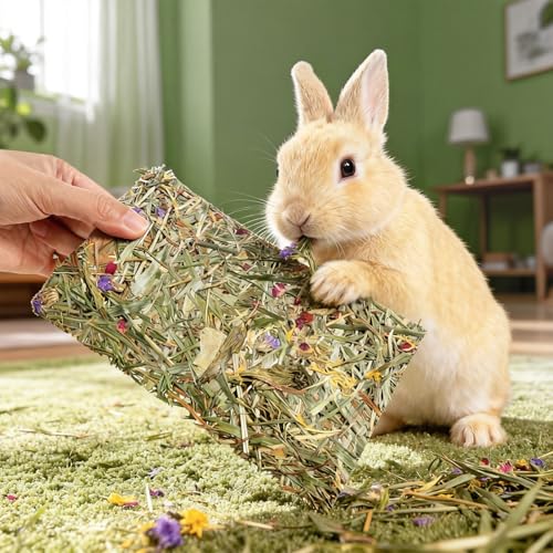 Abizoo Rabbit & Guinea Pig Treats 8 Pack Large Timothy Hay Chips | Bunny Chew Toys, Herbal Flowers, Vitamins and Minerals, Timothy Hay Forage Mix