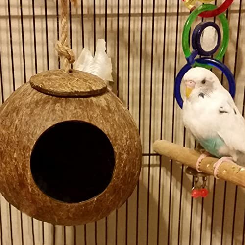 kathson Natural Coconut Shell Bird Nest,Hanging Coco Birds House,Parrots Hide Hut Habitats Decor,Parrot Cage Accessories for Lovebirds Cockatiel Canary Budgies,Feeder Spoon,4 Toy Balls(6 Pcs) - size: [M:9.8 x 5.1 x 5.1 lnches]
