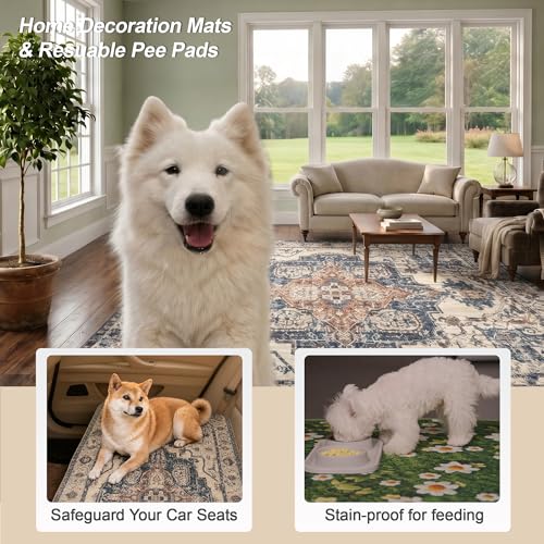 Washable Pee Pads for Dogs, Reusable Puppy Potty Training Pads, Ultra-Absorbent Thick Waterproof Leak-Proof Non-Slip Pads & Mat for Crate, Playpen, Floor, Whelping & Housebreaking , 2 Pack 24"x36" - color: Beige/Blue/Multi, size: 24" ×36"(pack of 2)