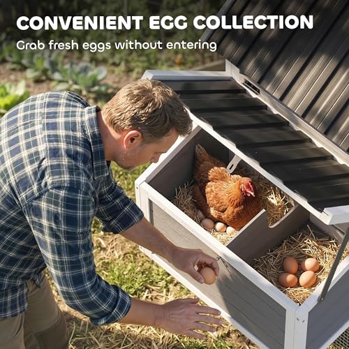 PawHut 82" Wooden Chicken Coop for 2-3 Hens with Nesting Box Gray | Large Outdoor Hen House Poultry Hutch, Pull-on Tray, Waterproof Roof, Ramp, Roosting Bars, Backyard Use