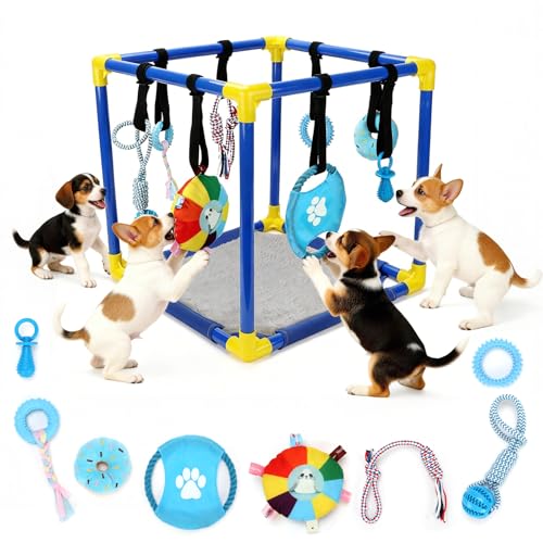 Puppy Play Gym, Dog Activity Center with 8 Hanging Toys, PVC Frame | 8 Enrichment Toys for Busy Play, Soft Mat for Rest, Non-Slip Feet for Stable Play, Adjustable Straps, Cats and Small Pets