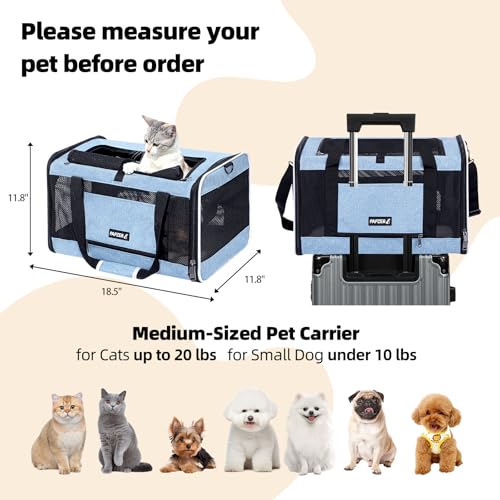 Cat Carrier Soft-Sided Travel Bag for Medium to Large Cat Over 15lbs | Small Puppy Dog Carry Crate 12 Pounds, Top Entry, Breathable Mesh, Pet Kitten Rabbit Cage Bag Transport Kennel Collapsible - color: Blue