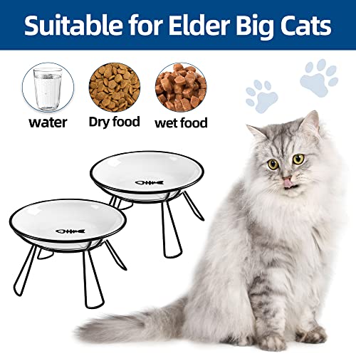 Cat Bowls, Elevated Bowl, Raised Ceramic Dish with Metal Stand, Pet Water or Food Feeding Station for Indoor Cats, Kitten, Puppies and Small Dogs(2 Pack) - color: Lucky Colver