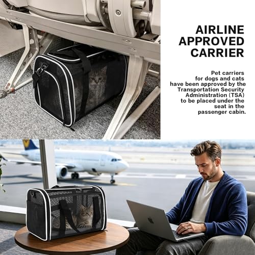 Cat Carrier, Soft-Sided Pet Carrier Bag, Breathable Mesh, Black (White, 20 * 13 * 13) - color: white, size: 20.0"L x 13.0"W x 13.0"H