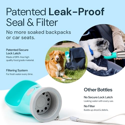 MalsiPree Insulated Dog Water Bottle - 24 oz Blue, Stainless Steel | 24oz insulated steel bottle & bowl - leak-proof - Use for dog travel, hiking, park & beach days - color: Blue, size: 24oz - Insulated