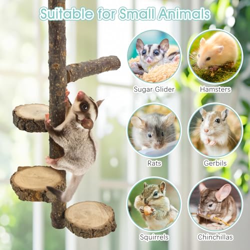 BNOSDM Sugar Glider Toy Natural Fruitwood Round Perch Stand Squirrel Hanging Wooden Climbing Pole Hamster Paw Grinding Perch Small Animal Cage Accessories for Chinchillas Rats Gerbil - color: Applewood - Climbing Platform