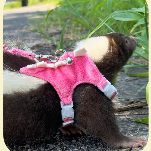 Ferret Harness and Leash Set Small Animals Vest Harness with Safe bell Dinosaur Shaped Walking clothes for Baby Rabbit Guinea pig Teacup Chihuahua Mouse and other small pet. (Pink Dinosaur) - color: Pink Dinosaur