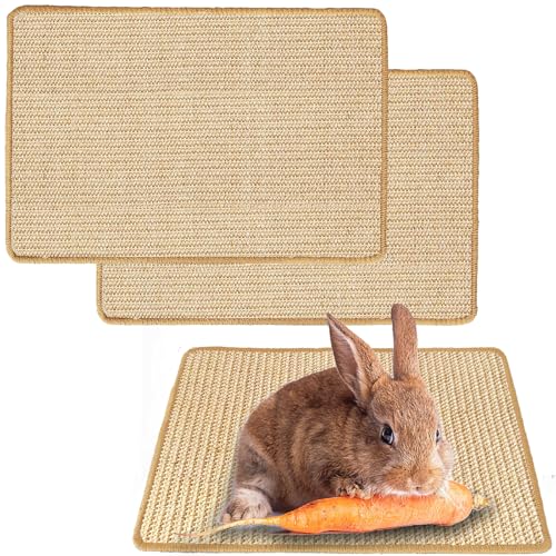 Rabbit Scratching Pad Natural Sisal Bunny Scratch Pad 16 x 12 Inch, Claws and Teeth Care Rabbit Scratcher Mats Chew Toys Indoor Bunny Accessories for Bedding Biting Sleeping Resting(2 Pack) - color: Beige-2, size: 15.7" x 11.8" (2 Pack)