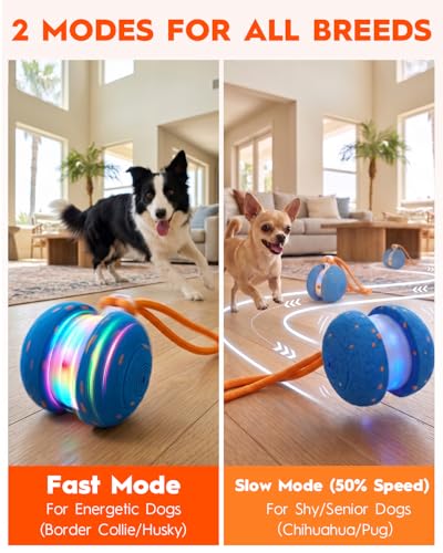 Xeuch Interactive Dog Toys, Automatic Irregular Moving and Rolling Dog Ball | 2 Speed Modes, E-TPU Material, Motion Activated Pet Toys with Rope for Dogs Puppies, Dog Stimulation Toy Blue