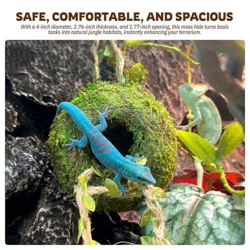 Moss Cave Hideout with Hanging Rope & Hemp Climbing Ladder – Natural Reptile Tank Decor Accessories for Crested Geckos, Chameleons, Tree Frogs, Leopard Geckos & Snakes. Terrarium & Vivarium Decor (4") - size: 4"