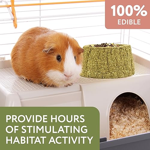 Evergreen Pet Supplies Edible Chew Bowl - Dental Support & Guinea Pig Toys - Treat Play with Edible Bowls for Rabbits - Durable Chew Toy for Small Pets - Pack of 4, Green & Brown