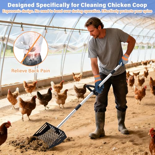 2-in-1 Chicken Poop Scooper & Rake, 10 Inch Coop Sand Sifting Shovel with 37" to 65" Adjustable Stainless Steel Handle, Litter Cleaning Tools with Gloves for Chicken Coop Farm Animals (Black) - color: Black