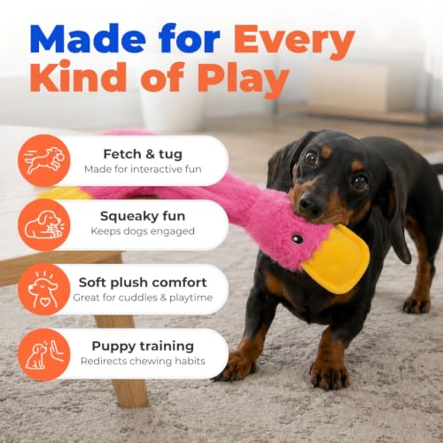 Best Pet Supplies Interactive Squeaky Dog Toy - Crinkle Duck, Pink | Stuffing Free Body, Soft, Squeaks & Crinkles, No Mess, Perfect for Moderate Chewers, Toss and Fetch Play - color: Crinkle Duck (Light Pink), size: Large