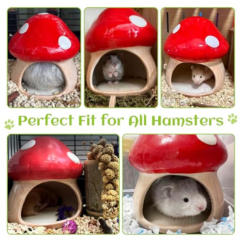 BNOSDM Ceramic Hamster Hideout Cute Mushroom Shape Hamster House and Habitat Cool Hamsters Hide Suitable for Syrian, Mice, Dwarf Hamsters, Gerbils (Red) - color: Red Hideout Solo