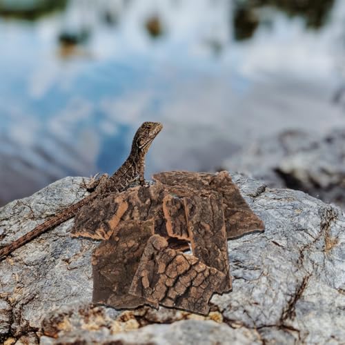 Beavorty 10Pcs Reptile Tree Bark Decor Natural Cork Bark Platform for Lizards Spiders Hamsters Reptile Habitat Climbing and Resting Basking Terrace 3.93X3.54X0.19In