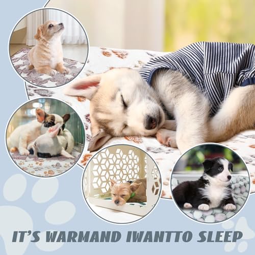 YedsIntu 6 Pcs Washable Guinea Pig Blankets Absorbent Animal Fleece Bedding Waterproof Cage Liners Reusable Pet Pee Pad Sleep Mat Pad Cover for Hamster Ferret Rabbit Chinchilla Hedgehog (20"x30") - color: 6 Black Bulk, size: 20" x 30"