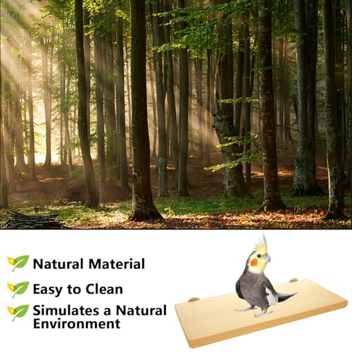 4 Pack 5 x 12 Inches Bird Perches - Natural Wooden Flat Bird Perch - Rectangle Bird Perch Stand Platform for Parrot, Budgies, Parakeet, Cockatiels, Conure, Lovebirds