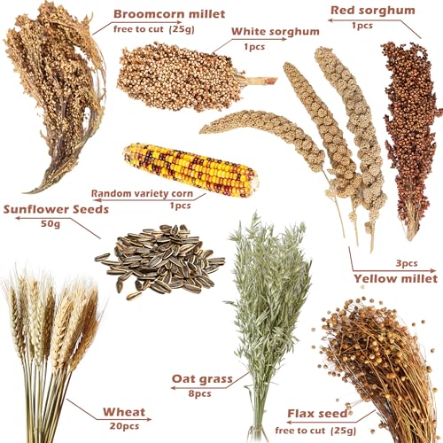 Natural Ear of Grain Flower&Herb Bedding Mate Habitat Decor, Adding Fun Hamster Accessories for Hamsters Gerbils Lemming - color: Miscellaneous grain crops