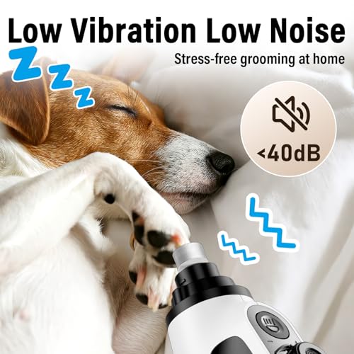 Casfuy Smart 6-Speed Dog Nail Grinder - 50% More Power Pet Nail Grinder with 2 LED Lights Quiet Rechargeable Electric Dog Nail Trimmers File Toenail Grinder for Large Medium Small Dogs & Cats (White) - color: White