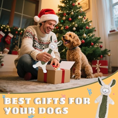 Squeaky Dog Toys for Small & Medium Breeds, Soft No Stuffing Interactive Puppy Teething Chewing Toy with Crinkle Paper, Best Birthday, Christmas, Halloween, Easter Gift, Flat Rabbit - color: Rabbit