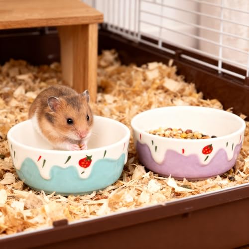 Wontee Hamster Food Bowl 2 Pack Ceramic Food Water Bowl Anti-Tipping for Dwarf Hamsters Gerbil Mice Hedgehog Guinea Pig (Blue+Purple) - color: Blue+Purple