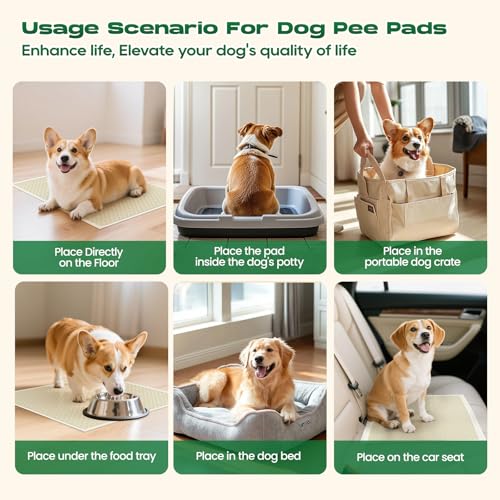 Bamboo Small Puppy Pads Pee Pads for Dogs 22"x22" 100 Count | Bamboo Training Pads Deodorizing Leakproof Quick Drying Dog Pee Pads Super Absorbent Disposable Pee Pads for Dogs Puppies - size: 22 x 22 inches (100 Count)