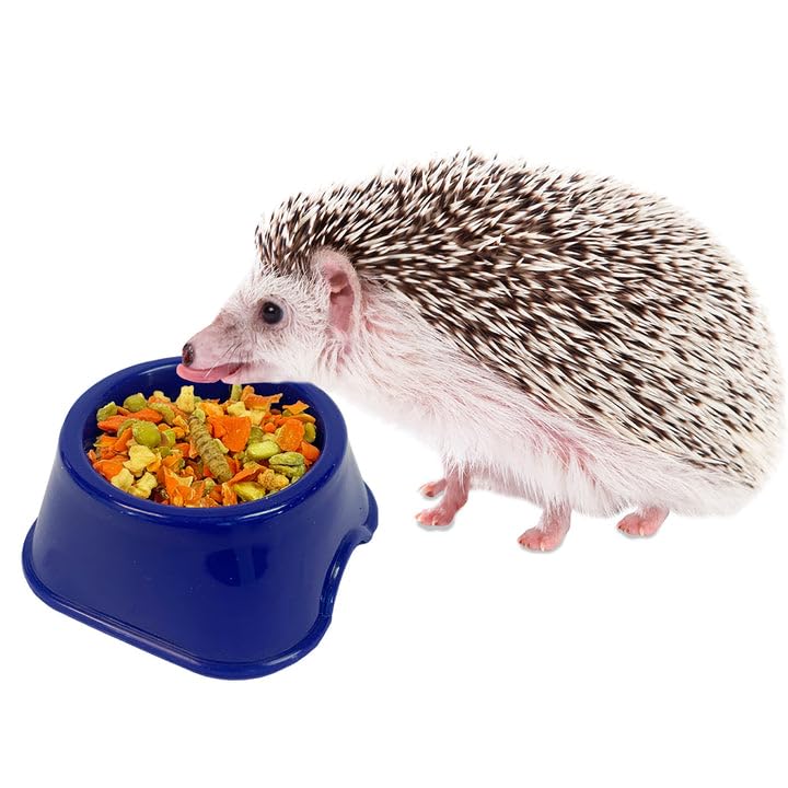 Exotic Nutrition Starter Package for Hedgehogs - Includes Exercise Wheel, Healthy Food, Natural Treat, Multi-Vitamin & Hideout