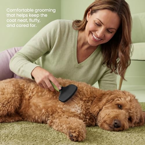 Poodle Pet Slicker Brush - For Dogs, Cats, Rabbits - Matted/Loose Fur, Knots - Suitable for Doodle/Goldendoodle Grooming and Shredding Short/Long Hair (Green) - color: Green, size: Regular Size