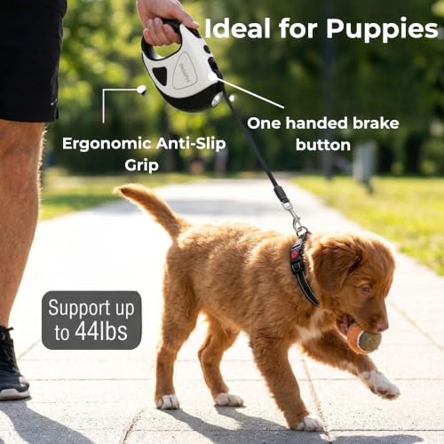 Retractable Dog Leash with LED Flashlight (2 AAA Batteries Incl) & Reflective Padded Dog Collar -10ft Tangle-Free Heavy Duty Leash Set for Night Walking Safety-Puppy Essentials (Up to 44lbs)