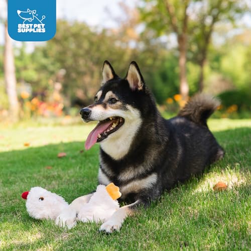 Best Pet Supplies Interactive Squeaky Dog Toy - Baby Chicken, Cream | Stuffing Free Body, Soft, Squeaks & Crinkles, No Mess, Perfect for Moderate Chewers, Toss and Fetch Play - color: Crinkle Chicken (Cream), size: Large