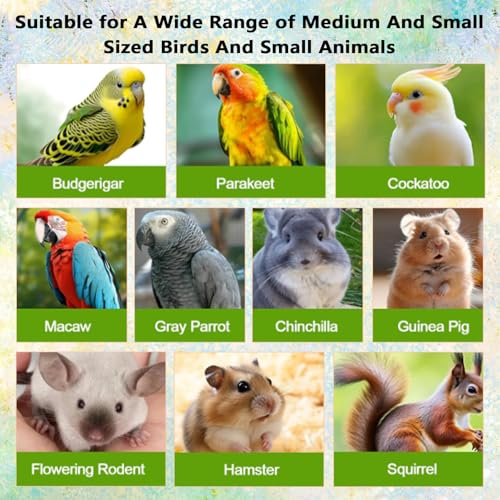 NICENEEDED Bird Perch Stand Platform, Natural Wooden Small Animals Cage Accessories, Rectangle Stand Perch Shelf for Conure Chinchilla Parakeet Budgie Cockatiel (20 x 33cm)