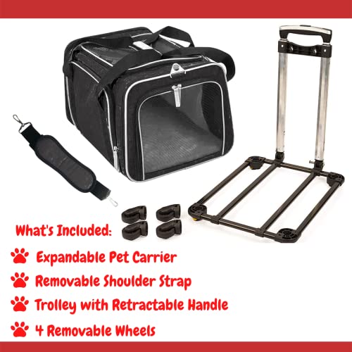 Airline Approved Expandable Premium Pet Carrier on Wheels- Two Sided Rolling Carrier- Designed for Dogs & Cats- Extra Spacious Soft Lined Carrier! (Black) (RL-PET-CARRIER-WHEELS) - color: BLACK