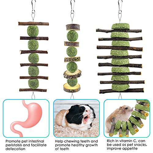 ERKOON Bunny Chew Toys, Rabbit Chew Toys for Teeth Grinding, Improve Dental Health, 100% Natural Apple Wood Timothy Grass Cake Treats for Rabbits Guinea Pigs Chinchillas Bunnies Hamsters (3 Pcs) - style: 3 Pcs