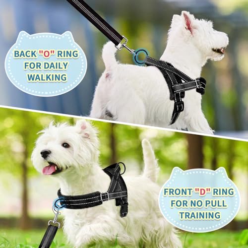 SlowTon No Pull Small Dog Harness and Leash Set with Front Clip | Soft Padded, Neck & Chest Adjustable, Lightweight, Anti-Twist, Puppy Vest Harness Pet Lead Combo for Small Medium Dog, B, S - color: Black, size: Small