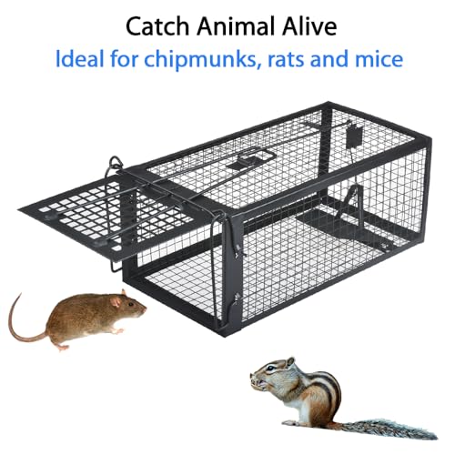 Gingbau 2-Pack Chipmunk Rat Traps Humane Live Mouse Trap Cages - color: Black (2-Pack)