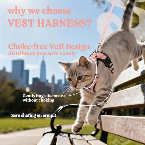 rabbitgoo Cat Harness and Leash Set, Escape Proof Vest, Light Salmon Pink | Soft Breathable Mesh, Easy Adjustable Fit, Snap Buckles, Sturdy Clip, Reflective Strips, for Kittens & Small Cats Walks, Xxs - color: Light Salmon Pink, size: Xxs