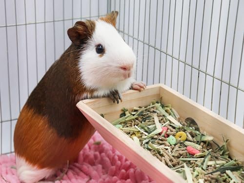 Guinea Pig Feeder Box, Wooden Small Animal Food Feeder, Hanging Rabbit Food Bowl, Small Animal Cage Accessories, Suitable for Rabbit Bunny Chinchilla Guinea Pig Hamster 11.8 × 4.3 × 2.4 Inches