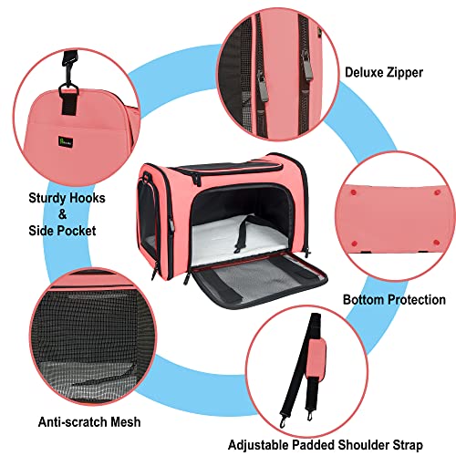 Soft Sided Carrier for Small Medium Cats Dogs,TSA Airline Approved Collapsible Travel Pet Carrier (Medium, Watermelon) - color: Watermelon, size: Medium