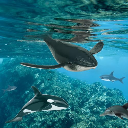 Terra by Battat Sea Life Animals, Ocean Animal Figures Set, 6-Piece Set | 7 ocean animal figures with shark, dolphin, whales, turtle, emperor penguin and baby for sensory bins and play, 3+ Years