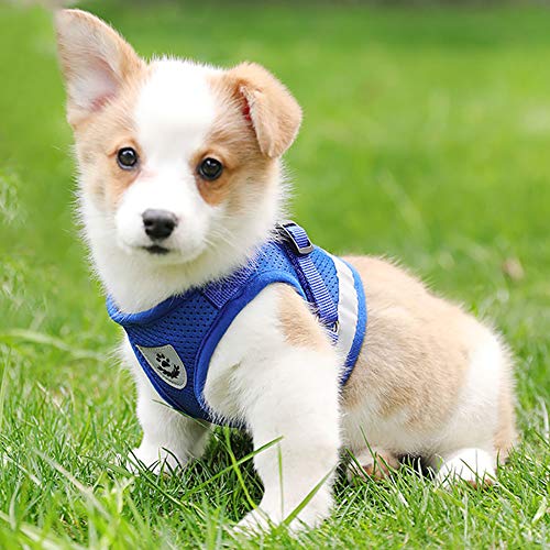 FEimaX Dog Harness and Leash Set for Walking, Soft Mesh Adjustable Easy Control Lightweight Cat Vest Harnesses with Reflective Strips, Escape Proof Small Dogs Cats Vests (Blue, X-Small) - color: Blue, size: X-Small