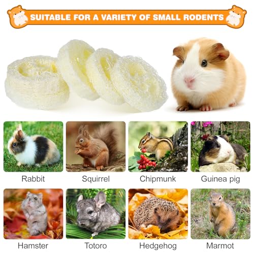 Toddmomy Rabbit Chew Toys 20pcs Loofah Teeth Grinding Toys Small Animal Tooth Cleaning Tools for Guinea Pig Chinchilla Hamster
