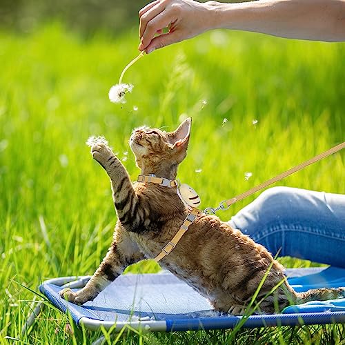 TIESOME Cat Harness and Leash Set, Adjustable Gradient Kitten Harness | Escape Proof Harness with Leash for Kitty Outdoor Walking - color: Vanilla Yellow